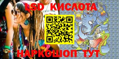 прущие грибы Можга