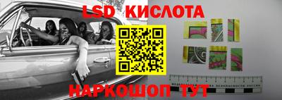 прущие грибы Можга