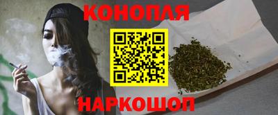 прущие грибы Можга